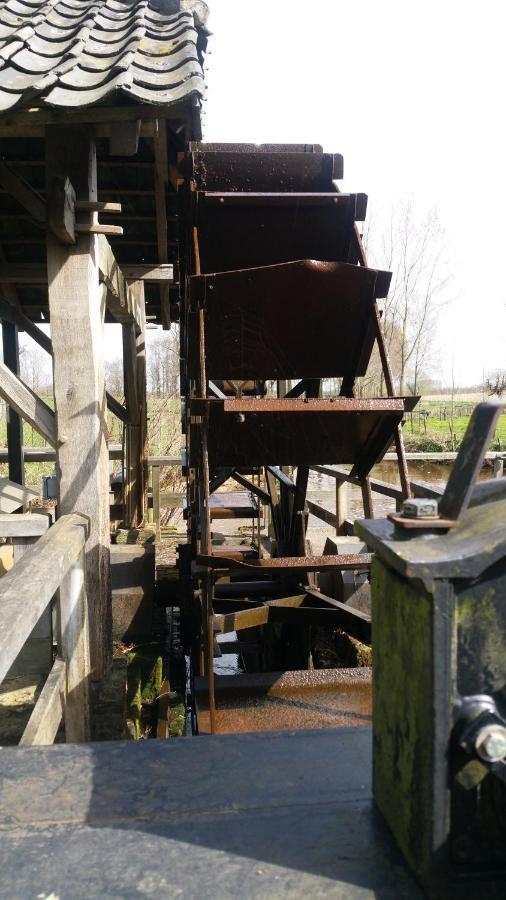 B&B Perron 22 Vierlingsbeek Exteriör bild