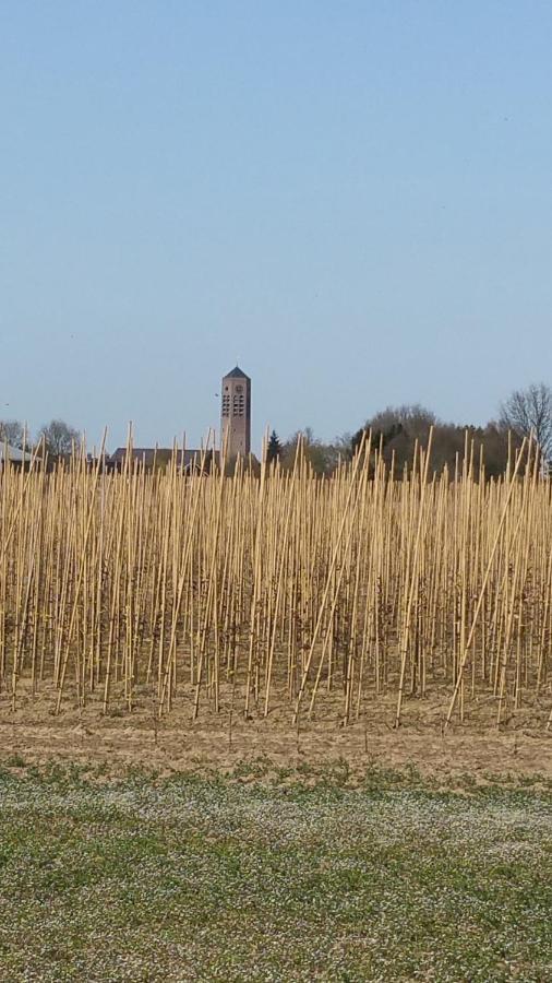B&B Perron 22 Vierlingsbeek Exteriör bild