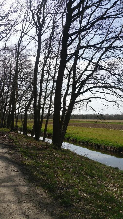 B&B Perron 22 Vierlingsbeek Exteriör bild